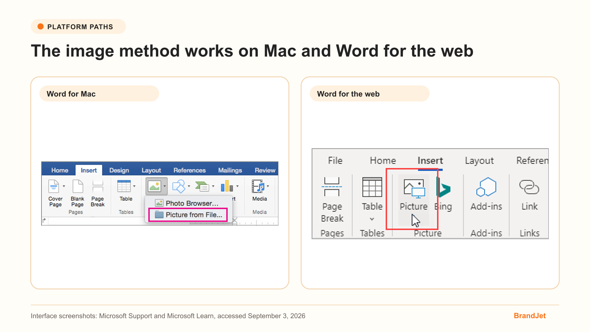 Microsoft Word for Mac and Word for the web controls for inserting a signature picture
